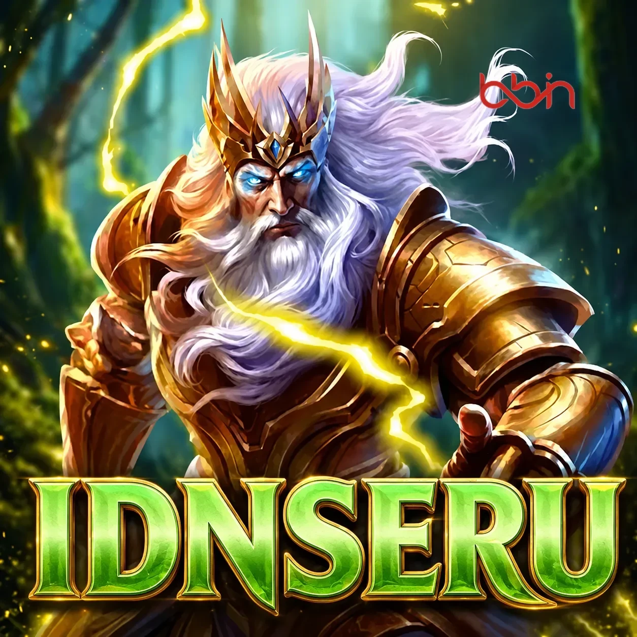 Logo idnseru